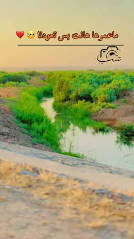 #تصويري_احترافي_الاجواء👌🏻🕊 
