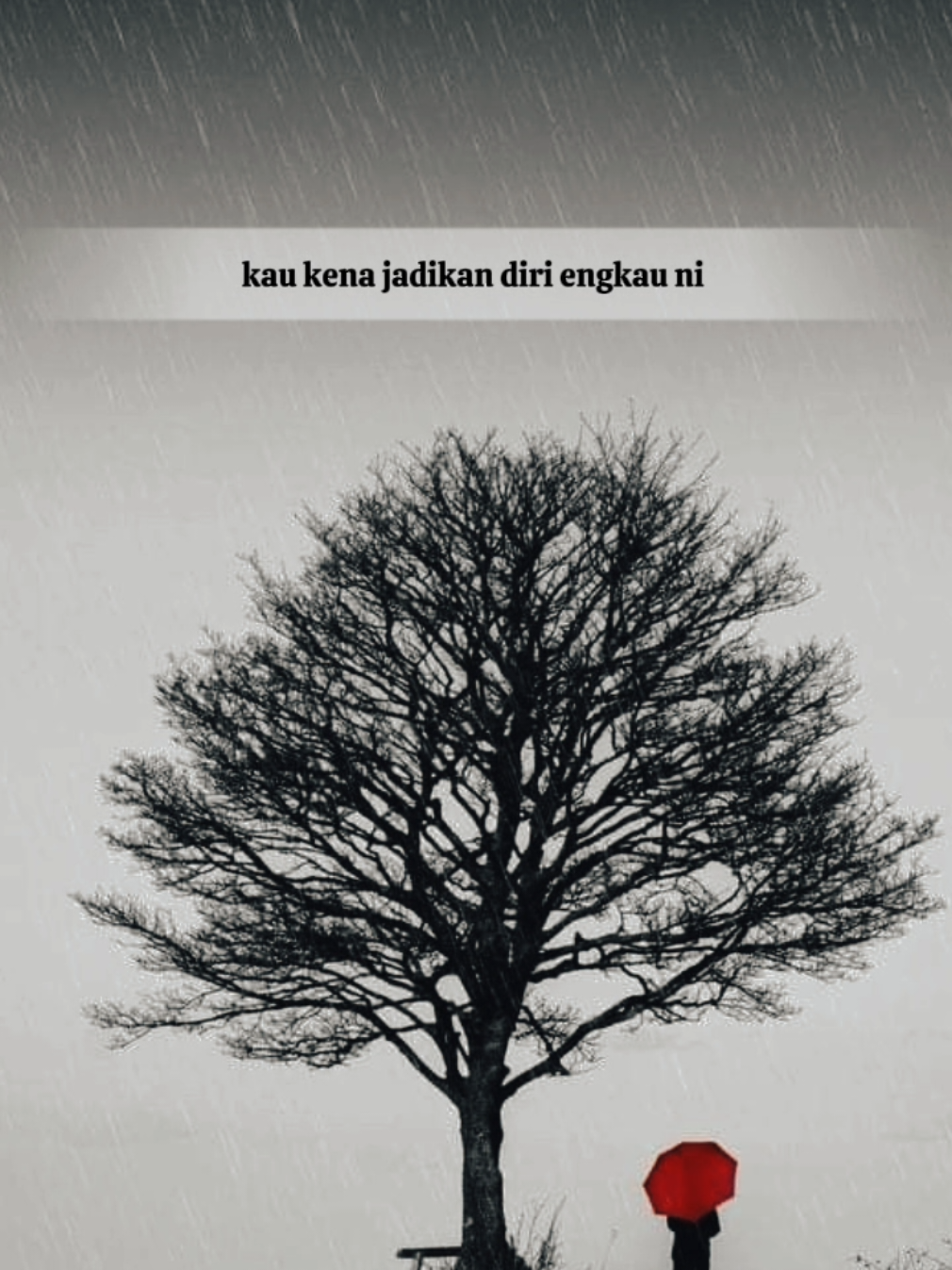 🌳☂️ #katakata #quotes #foryoupage #fyp 