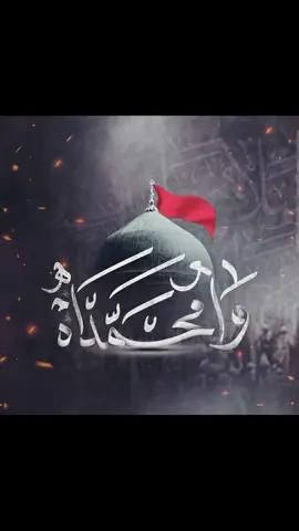 #٢٨صفر_شهادة_الرسول_الأعظم_محمد #حيدر السعد #يارسول الله برحيلك مطرت دموع السما