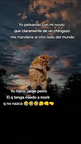 Jajaja unas luchitas con mi amorcito y se reinicia nuestra relación  #CapCut #viraltiktok #noviosgoals #tiktokindia #foryoupageofficiall 