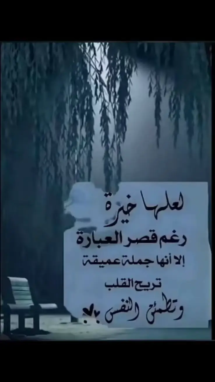#في هذا اليوم 