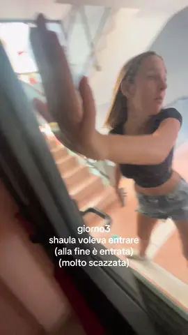 #shaulanonentra 