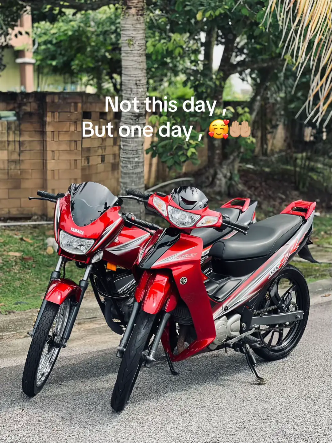 #rxzcatalyzer #meroonhitam #aminn