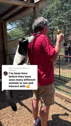 Replying to @Chelsey Marion experience the zoo your way!