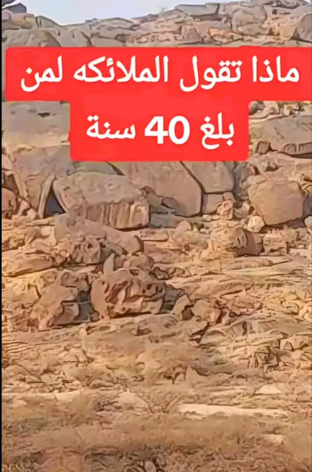 #القران_الكريم_نور_القلوب ..اكسبلور فضلا وليس امرا. 