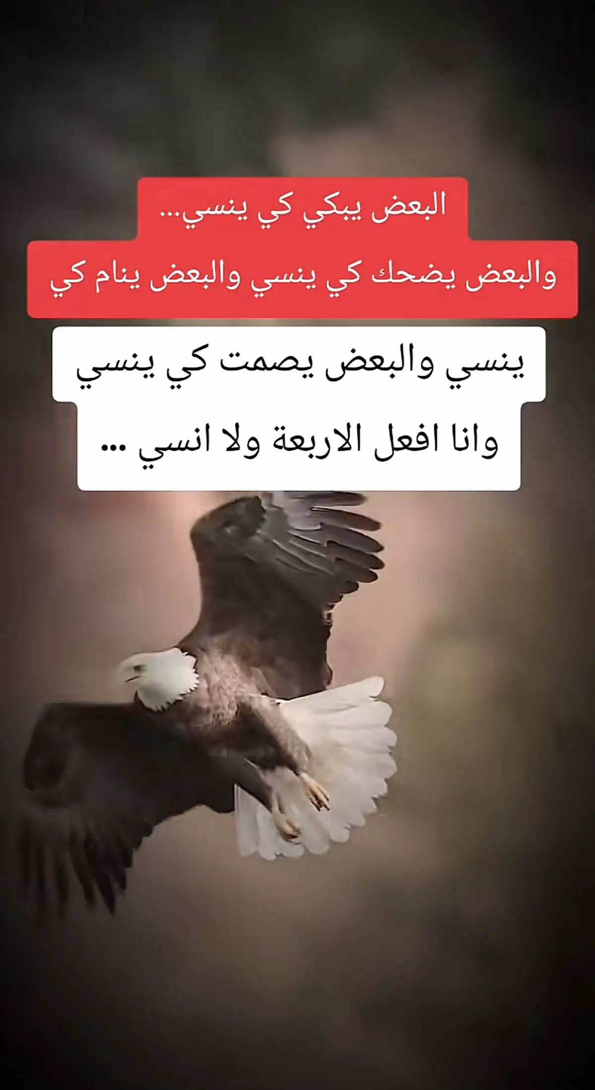 #اقتباسات_عبارات_خواطر🖤🦋❤️ #عبارات_جميلة_وقويه😉🖤 #عبارات_حزينه💔 #ذي_قار #قضاءالشطرة🌹💔 