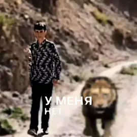 но я Лев 🦁