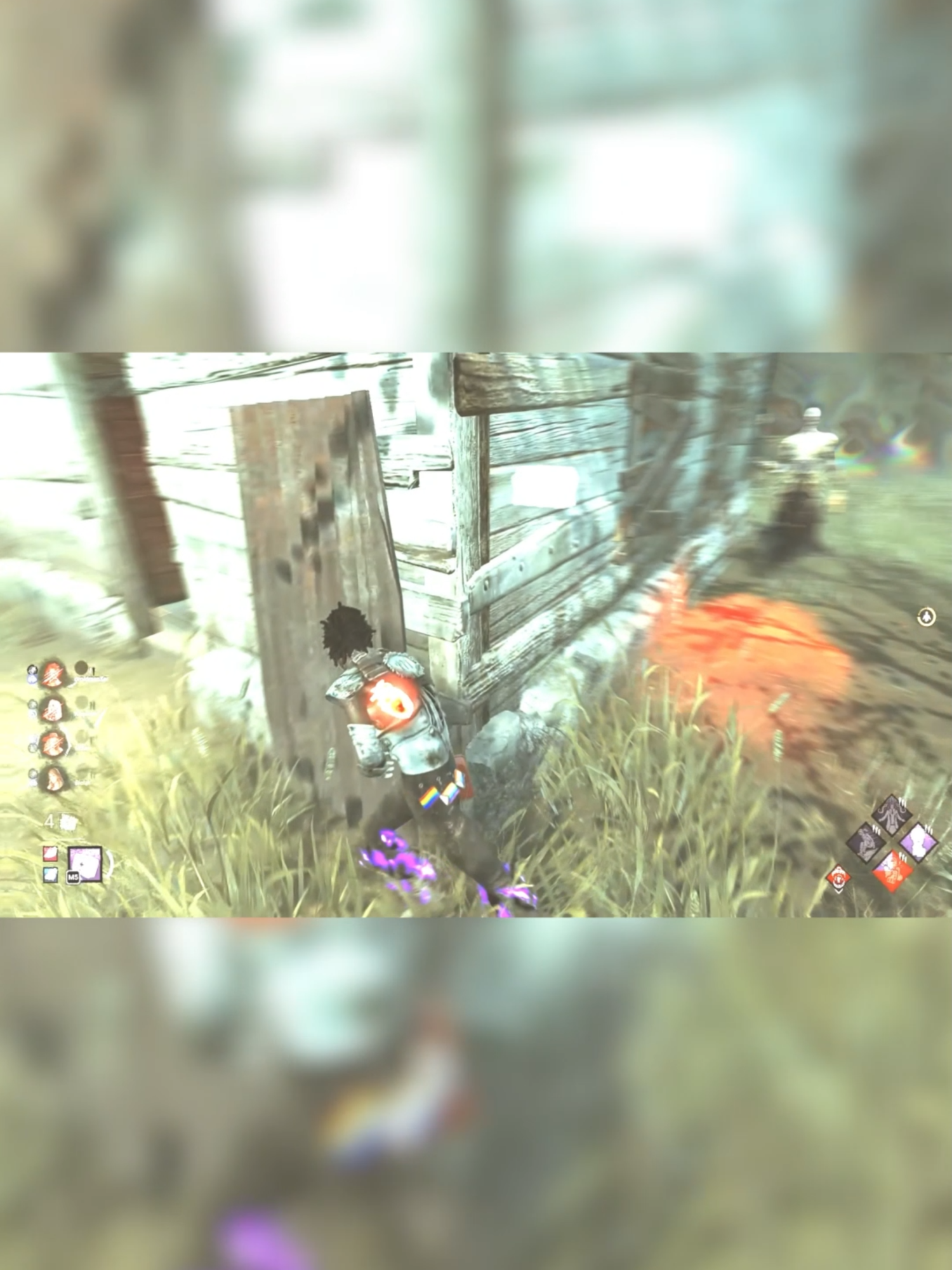 #dbd