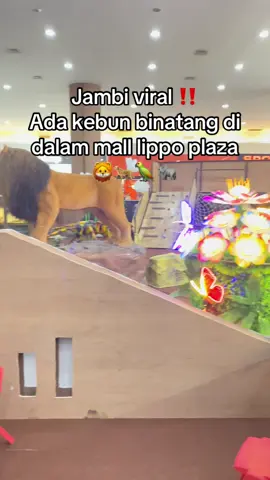 #fyp #jambipride #jambiviral #viraltiktok #hiburanjambi #malljambi #lippoplazajambi 