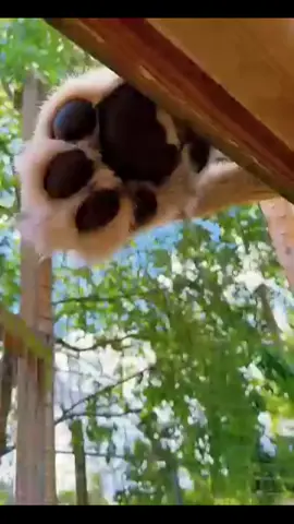 #👍😃 
