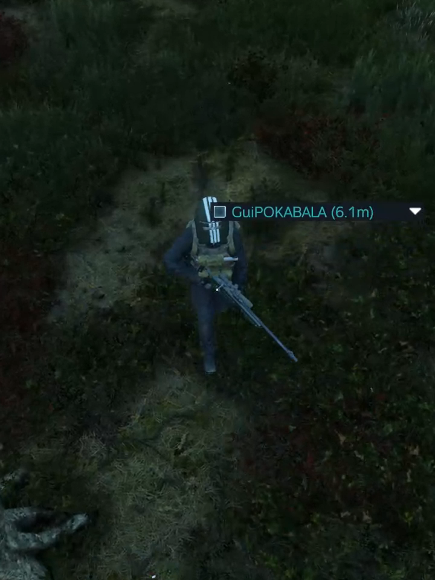 Coelho assassino dando kit base! #dayz