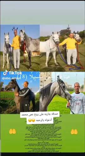 #مركز #نبروه #قريه #نشا #الله يرحمك ويجعل مثواك الجنه 