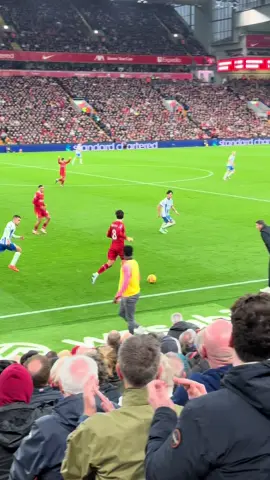 #liverpoolfc #liverpool #szoboszlai #dominikszoboszlai #skills 