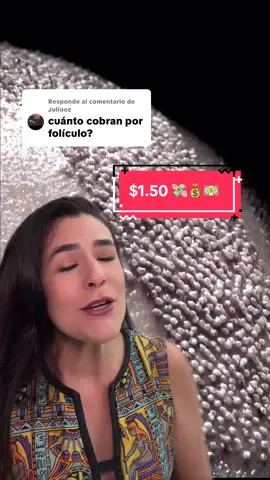 Respuesta a @Juliooz 💸 El precio de cada folículo en Care4Hair es de $1.50 USD 🤯 y ese valor incluye: ✅ Anestesia local ✅ Una merienda post-op ✅ Seguimiento por 1 año completo ✅ Pre-op con análisis totalmente gratis 🧪 👉 Haz tu evaluación gratuita hoy mismo y descubre cuántos folículos necesitas para lograr el cambio que quieres. 📲 Envíanos tu número en privado y agenda tu cita ya. #TrasplanteCapilar #Care4Hair #HairTransplant #Miami  #greenscreen 