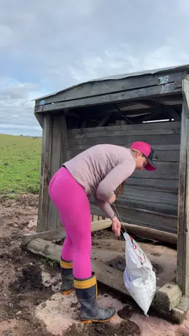 Dia de levar sal mineral para os cochos #agrogirl #cowgirl #vaca #fazenda #silagem 