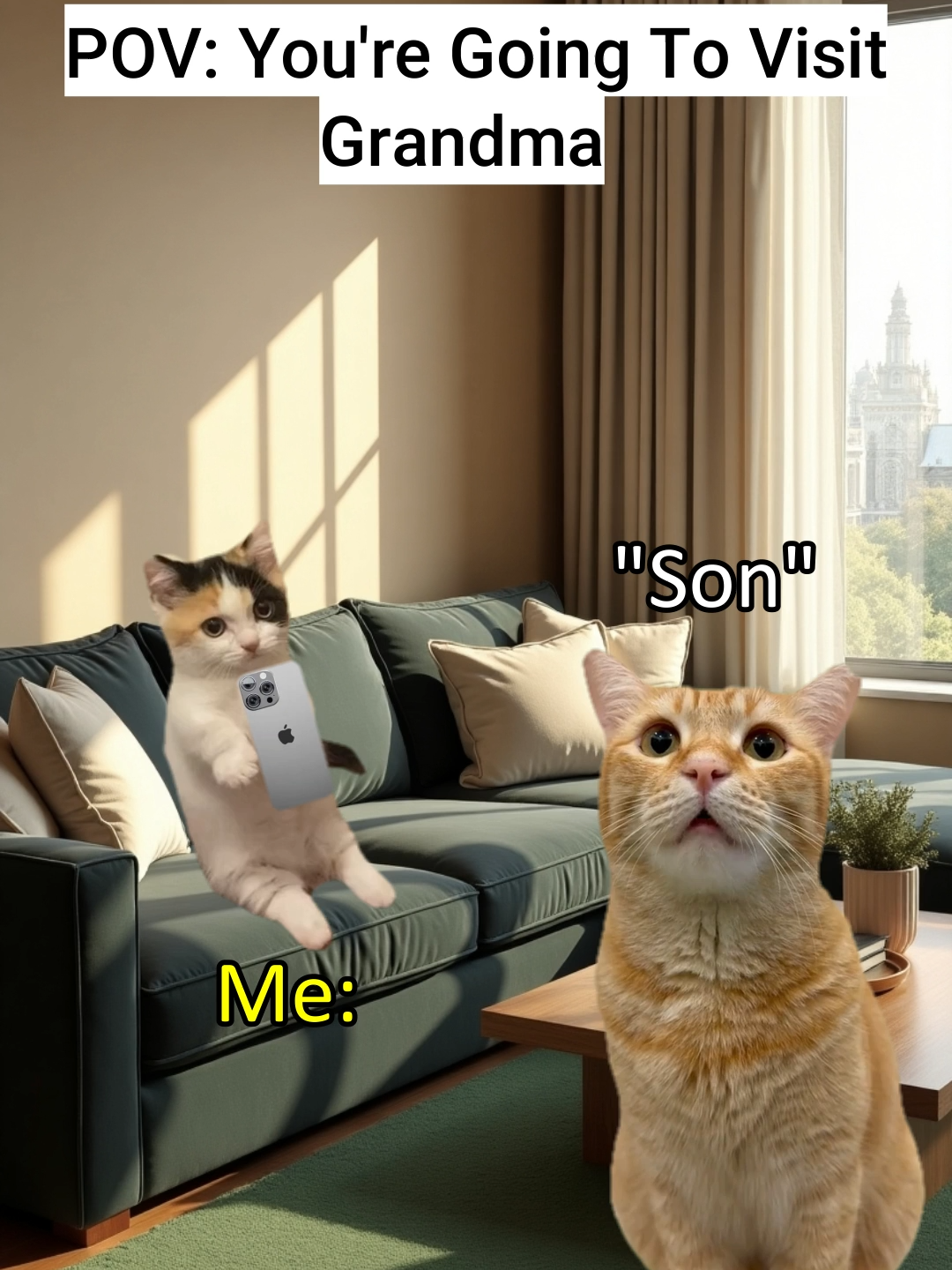 POV: When you visit grandma #catmeme #fyp #fy #trending