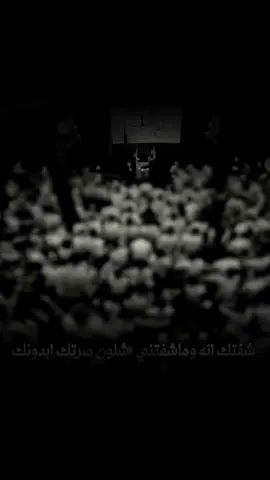 اه ليل اهدعش💔💔 #سيد_سلام_الحسينيي #ياحسين 
