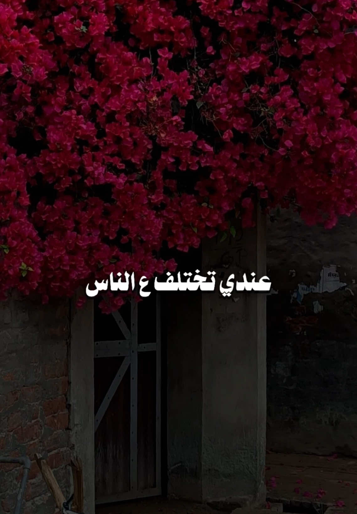 💫اكولك سر عندي تختلف عن الناس ࣪وبلياك ما اصبر💫اصلا وانت عني بعيد وضعي بخير مايبشر 💫 #اقولك_سر #محمود_الغياث #تصميم_فيديوهات🎶🎤🎬 #اكسبلور #pyf 