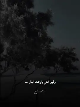 في انتي يا راحة البال #fyp  