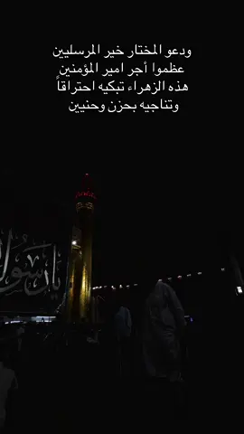 #استشهاد_النبي_الأعظم #النجف_الاشرف_الان #لبيك_رسول_الله 