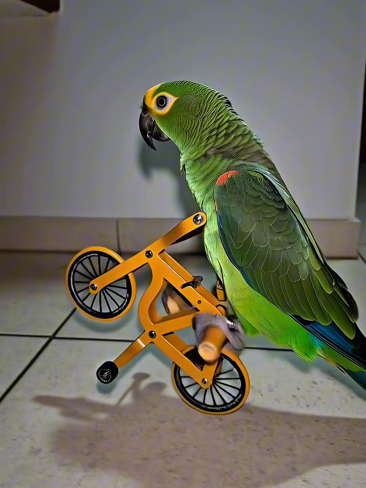 Papagaio acelerada / Papagaio Dando Grau. #birdsoftiktok #bike #parrot #animals #PetsOfTikTok 