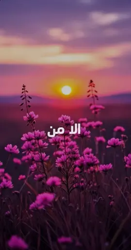 لن يكسب الناس