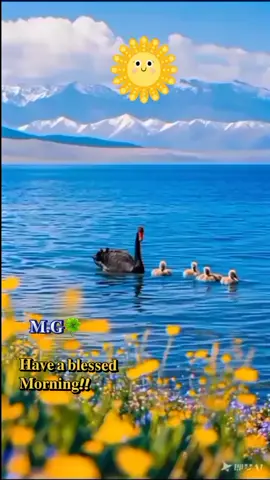 #nature  #relaxing 