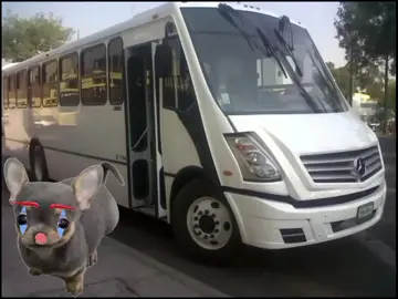 #CapCut próximamente #edit #cheems #hilosconcheems #nosequeponer #xddddddddddd #pinchitiktokponmeenparati #humor #apoyo? #edit #fyp #apoy #nosequeponer #hilosconcheems 