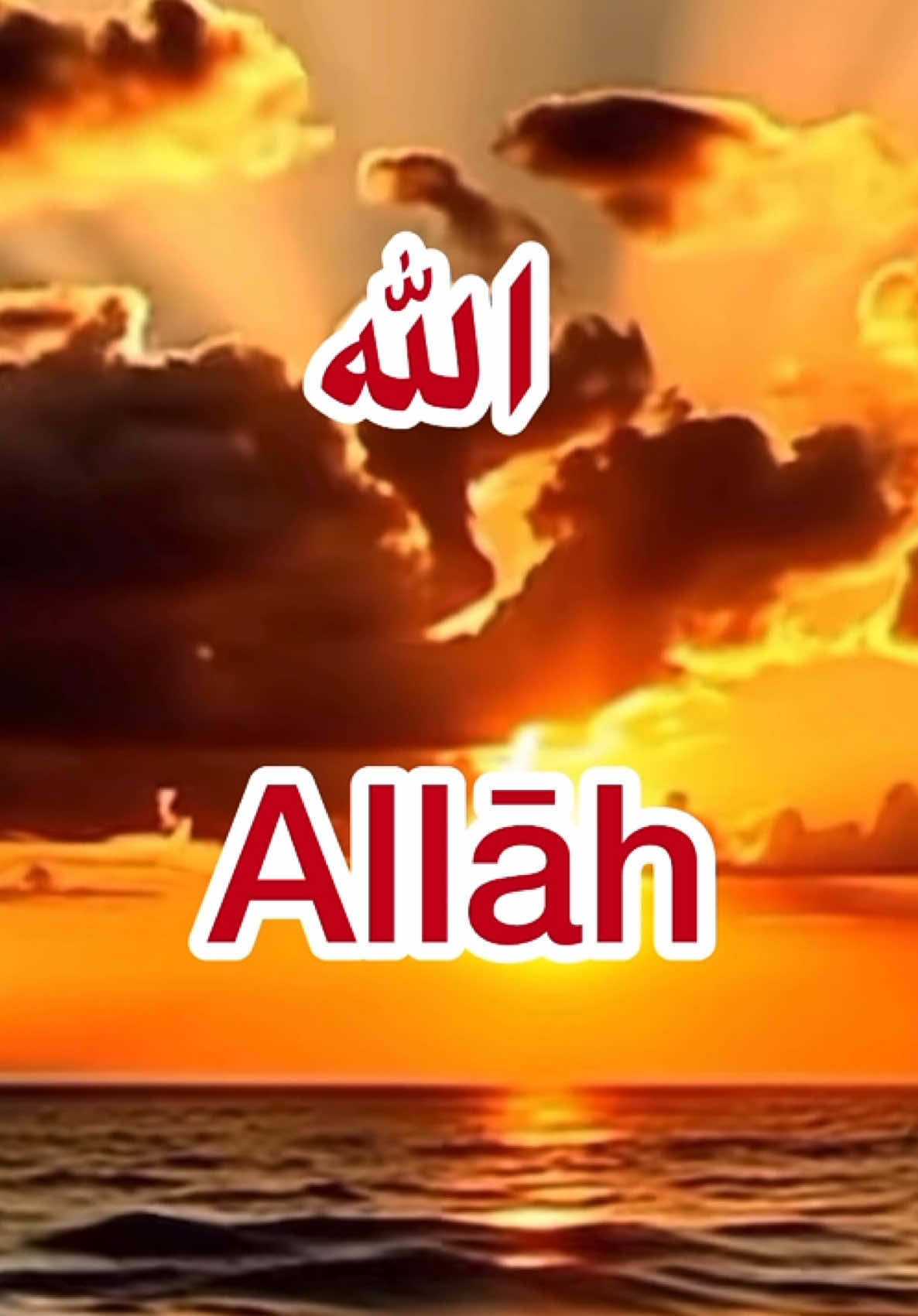 #islamic_video #muslimtiktoc #fyp #pourtoi #explore 