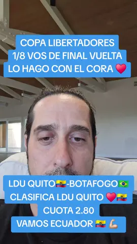 LDU -BOTAFOGO #ligadequito #lduquito #botafogo #fyp #ecuador 