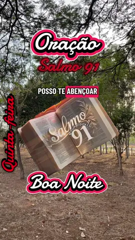 Oração da noite. Posso abençoar a sua noite com a linda oração do salmo 91.#oracao #salmo91 #oracaopoderosa #boanoite #boanoite 
