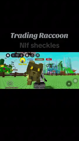 Trading raccoon #raccoon #growagarden #gag #trades #roblox 