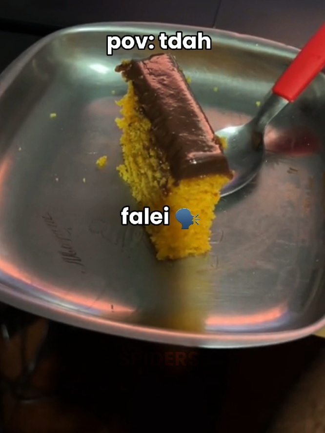 tdah #flp #tdah #memestiktok #perolasbrasileiras 