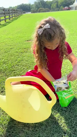 In our last video, she mentioned giving the goats Gatorade but this is what she makes for them. It’s just electrolytes for goats. It’s good to keep them hydrated when it’s really hot, but especially when they’re receiving any kind of treatment like deworming, anemia support or scours.  #goats #homestead #hobbyfarm #deworming 