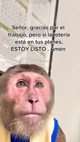 Prometo seguir trabando hasta el último día de mi vida 😏😂 #CapCut #Meme #humor #humortiktok #comedia  