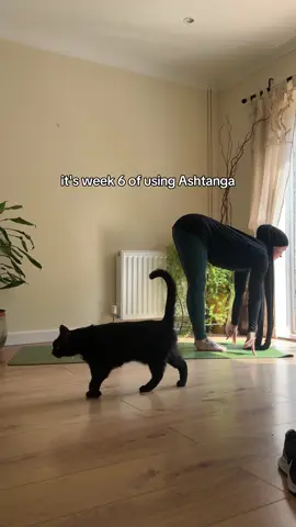 perks of having your friend as a teacher  #yoga #fyp #ashtanga #lessons 