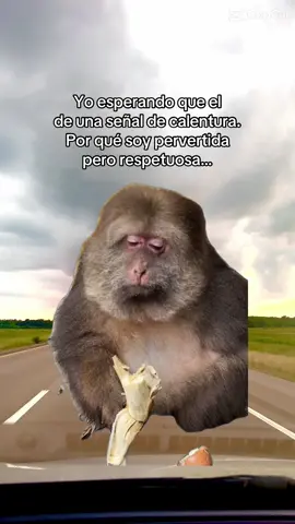 #aracasta2020 