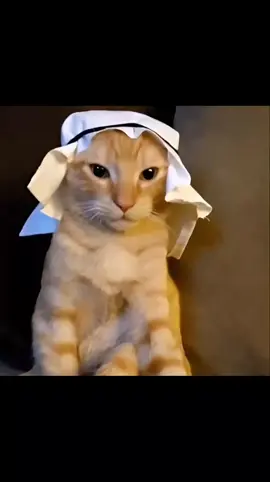 #fyp #fypp #viral #viraltiktok #viralvideos  bombaaaaaaaaaaaaaaaaaaaaaaaa en casaaaaaaaaaaaaaaaaaaaaaaaaaaaaaaaaaaaaaaaaaaaaaaa