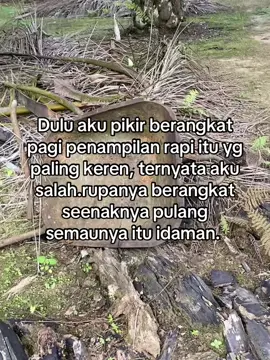 Jam kerja atur sendiri #petani #sawit #bebas #viraltiktok #suksesbutuhproses #sawitontiktok 
