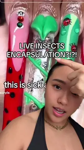 Wtf 