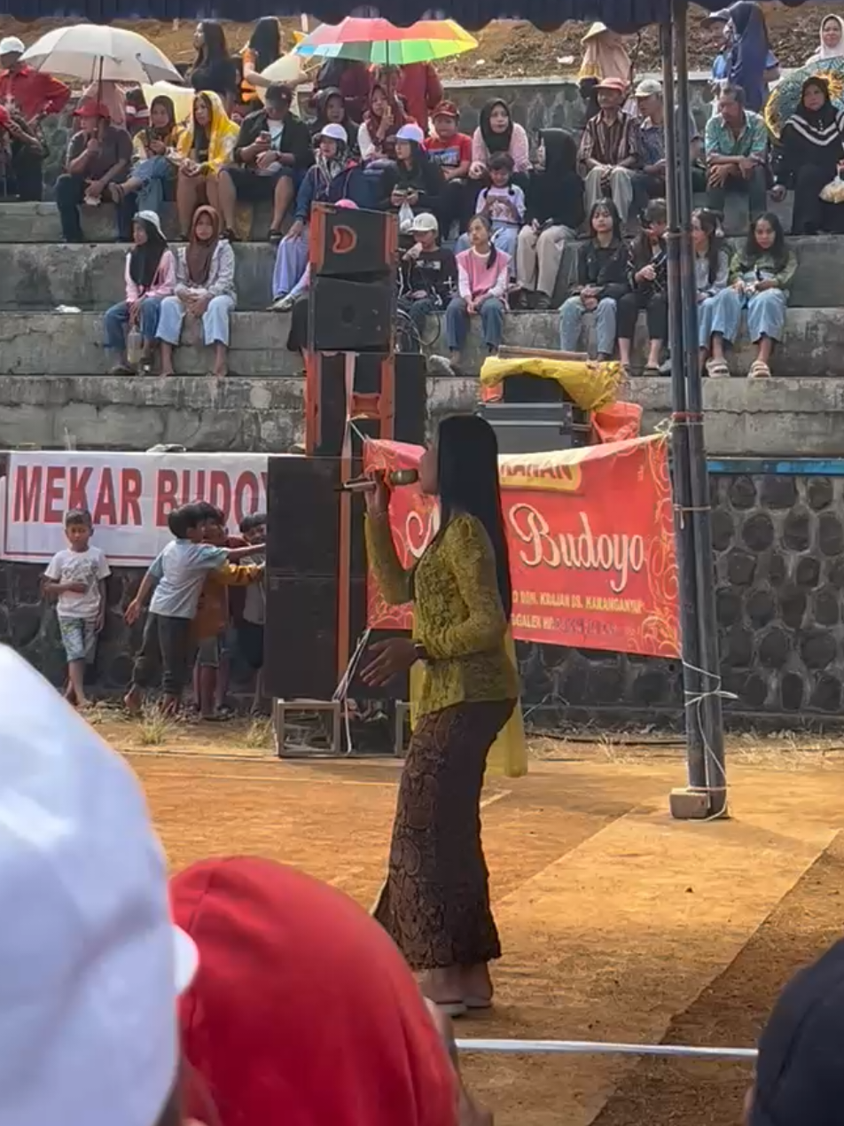 pisan