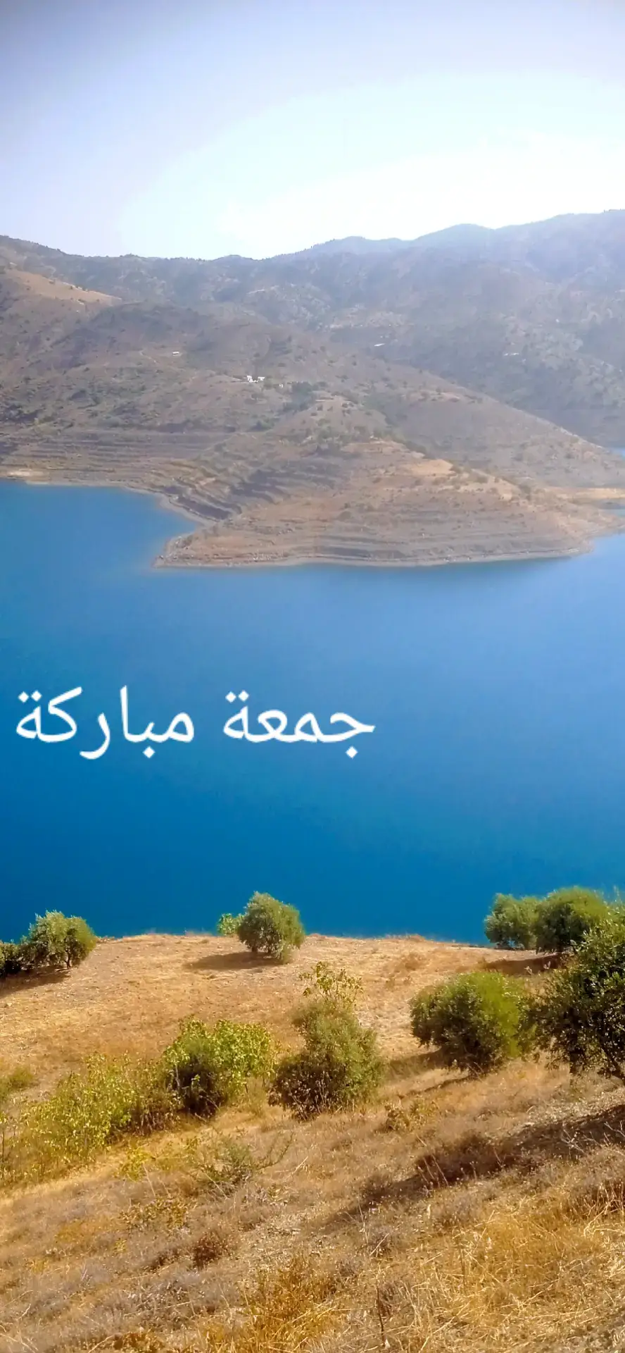#LIVEIncentiveProgram #GoLIVEGrowFast #PaidPartnership #سلام 