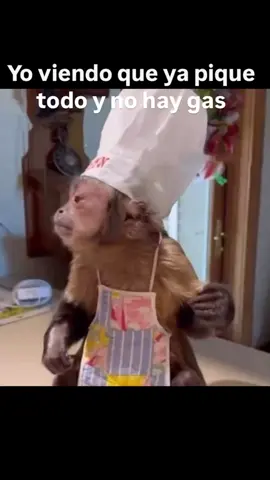 Jajaja, suele pasar😂 #Humor#comedia #cocina 