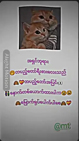 ချစ်တဲ့သူတေသာခေါ်ကြတဲ့mt#ချစ်သူတေသာခေါ်နိုင်တဲ့mt#ဘာညာပေါ့😝အသဲပေးသွား #မောနီးပါကိုကြီးတို့မကြီးတို့ #ပေါက်ရောက်စမ်း😂😂😂myanmar 