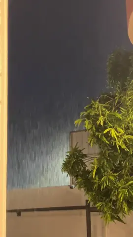 #جازان #مطر #اغسطس #rain #travel 