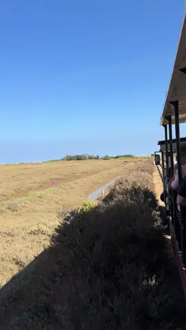 El tren no solo pasa una sola vez en la vida… pasa todos los días. La vida siempre nos da una segunda oportunidad. #portugal #trenalsur #praia #tavira #paratiiiiiiiiiiiiiiiiiiiiiiiiiiiiiii 