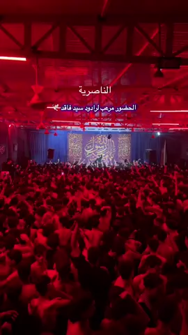 الحضور مرعب لرادود سيد فاقد الموسوي 🕊️❤️‍🔥