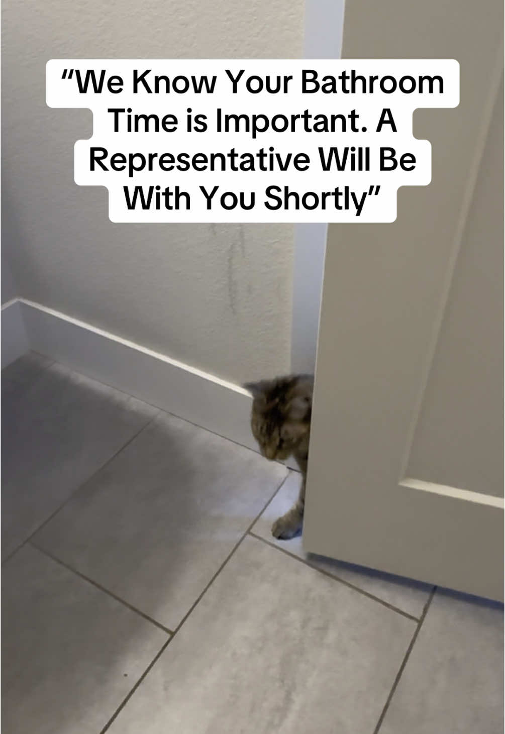 “Our” Bathroom Time #catsoftiktok #funnycats #cats 