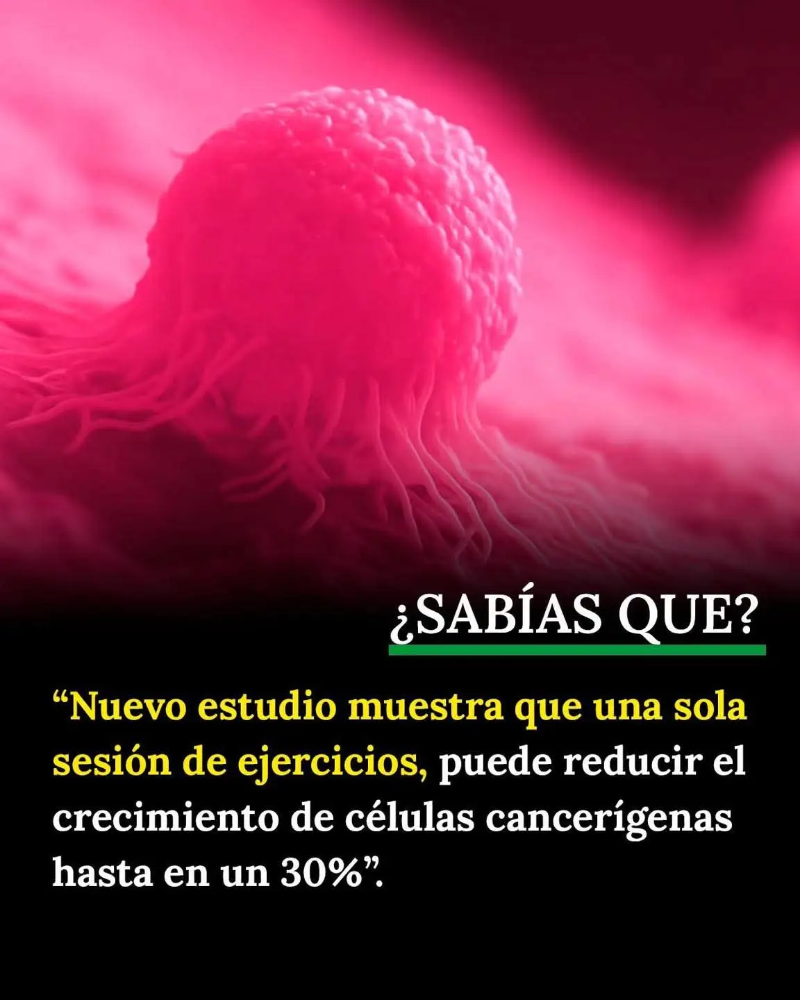 NUEVO ESTUDIO REVELA EL PODER DE UNA SOLA SESIÓN DE EJERCICIO La ciencia sigue confirmando lo que muchos intuíamos: el ejercicio no solo fortalece músculos y corazón, también puede ser un gran aliado contra el cáncer. Un estudio reciente demostró que con tan solo una sesión de actividad física moderada, el crecimiento de células cancerígenas puede reducirse hasta en un 30%. Este hallazgo abre una nueva perspectiva sobre la importancia de movernos diariamente. Incluso una caminata rápida, una rutina corta de fuerza o una sesión de bicicleta podrían tener un impacto positivo en nuestro organismo, más allá de la prevención de enfermedades metabólicas o cardiovasculares. Aunque el ejercicio no sustituye tratamientos médicos, la evidencia respalda su papel como complemento clave en la protección de la salud. Nunca es tarde para comenzar: cada paso, cada movimiento, cuenta para fortalecer nuestras defensas. #Salud #Ejercicio #Prevencion #Viral #flyp 