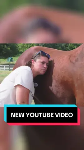 Watch the full video on my YT channel!!!🐴❤️